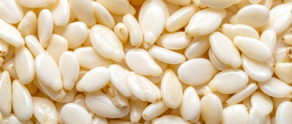 Kidney Beans export quality — Edusgrace International
